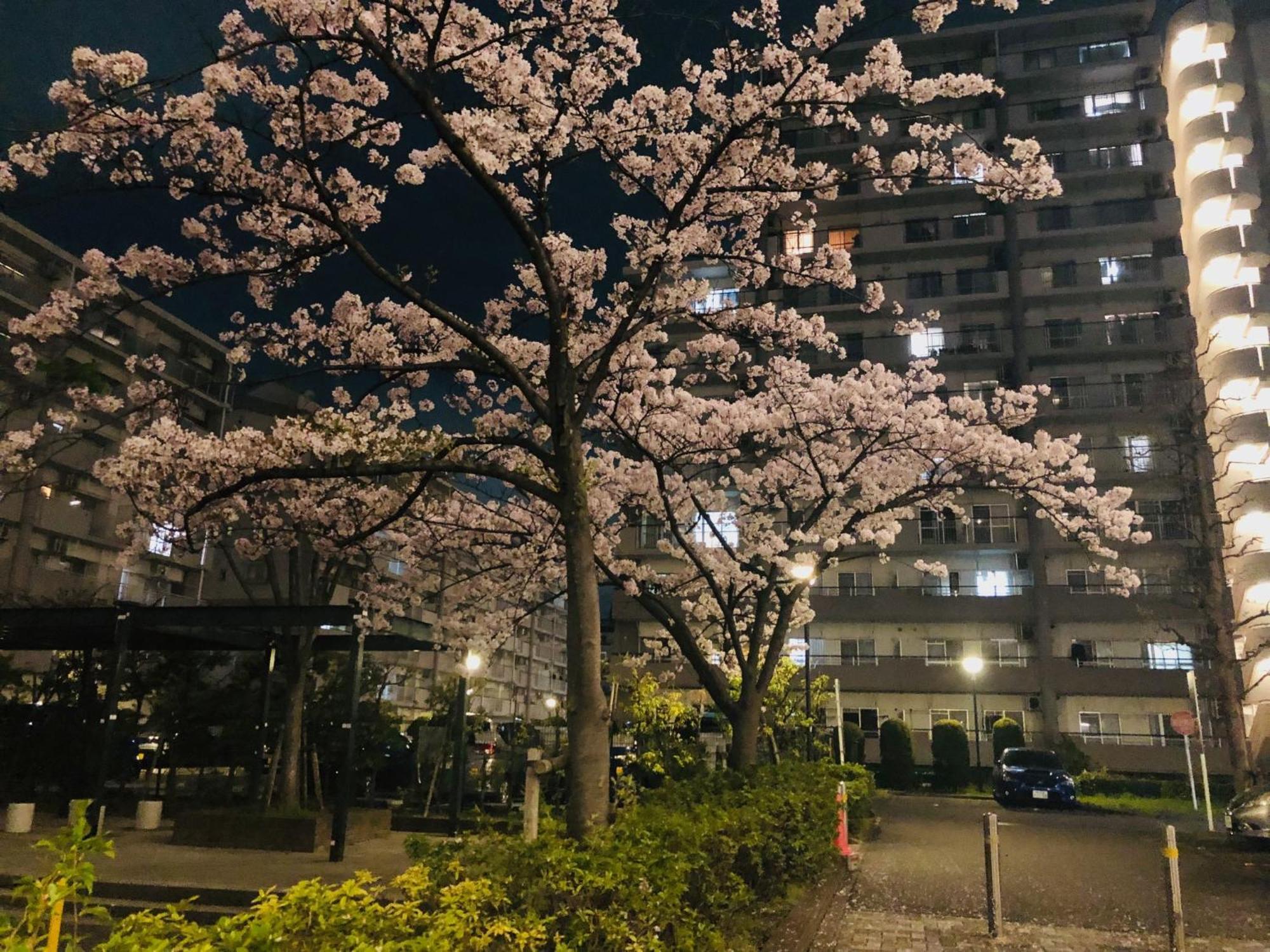 טוקיו Jl 東京 House - 駐車場付き築浅のまるごと貸切住宅 מראה חיצוני תמונה