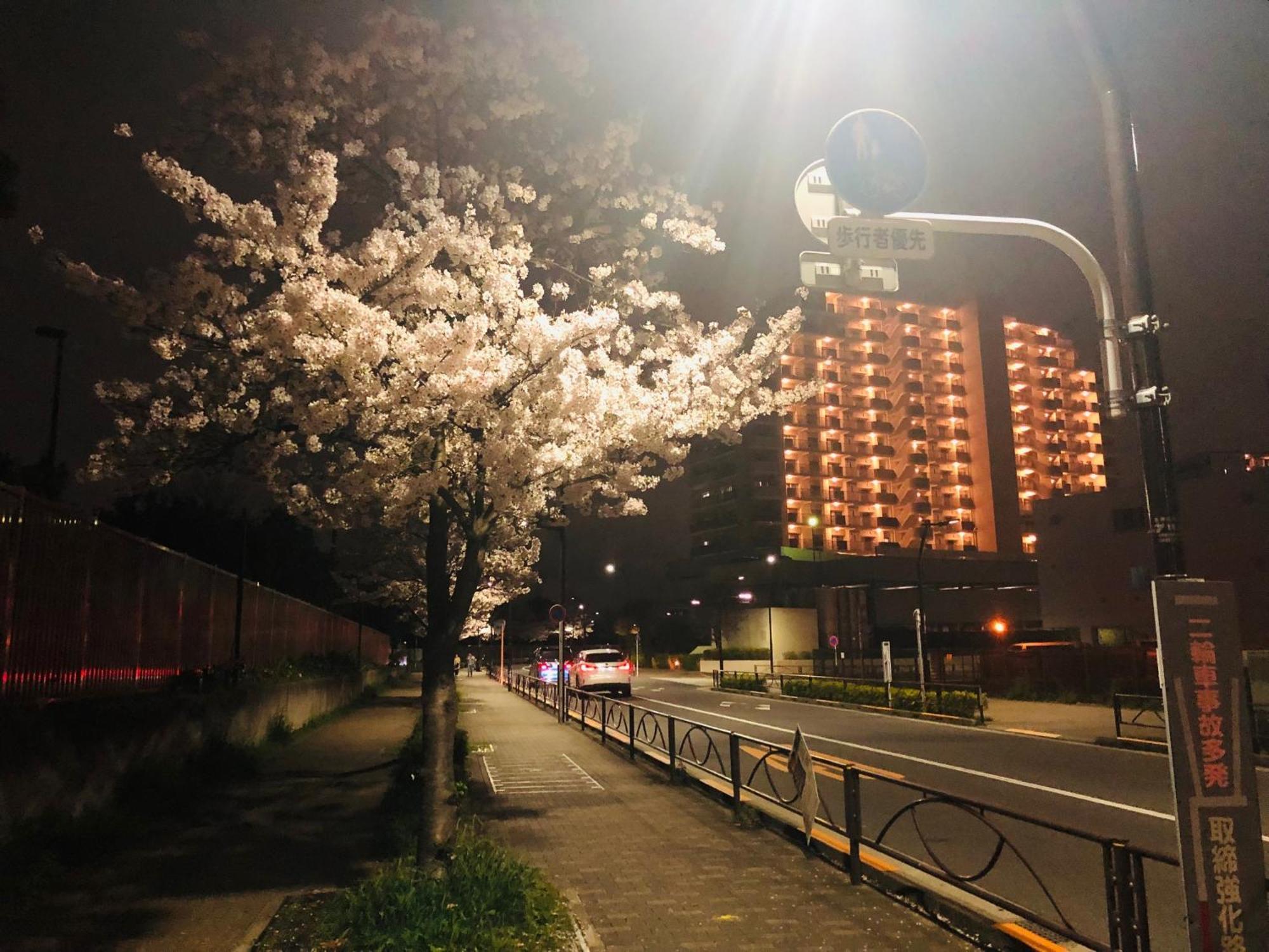 טוקיו Jl 東京 House - 駐車場付き築浅のまるごと貸切住宅 מראה חיצוני תמונה